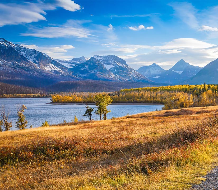 Livingston Mt Dental Care Office Mobile